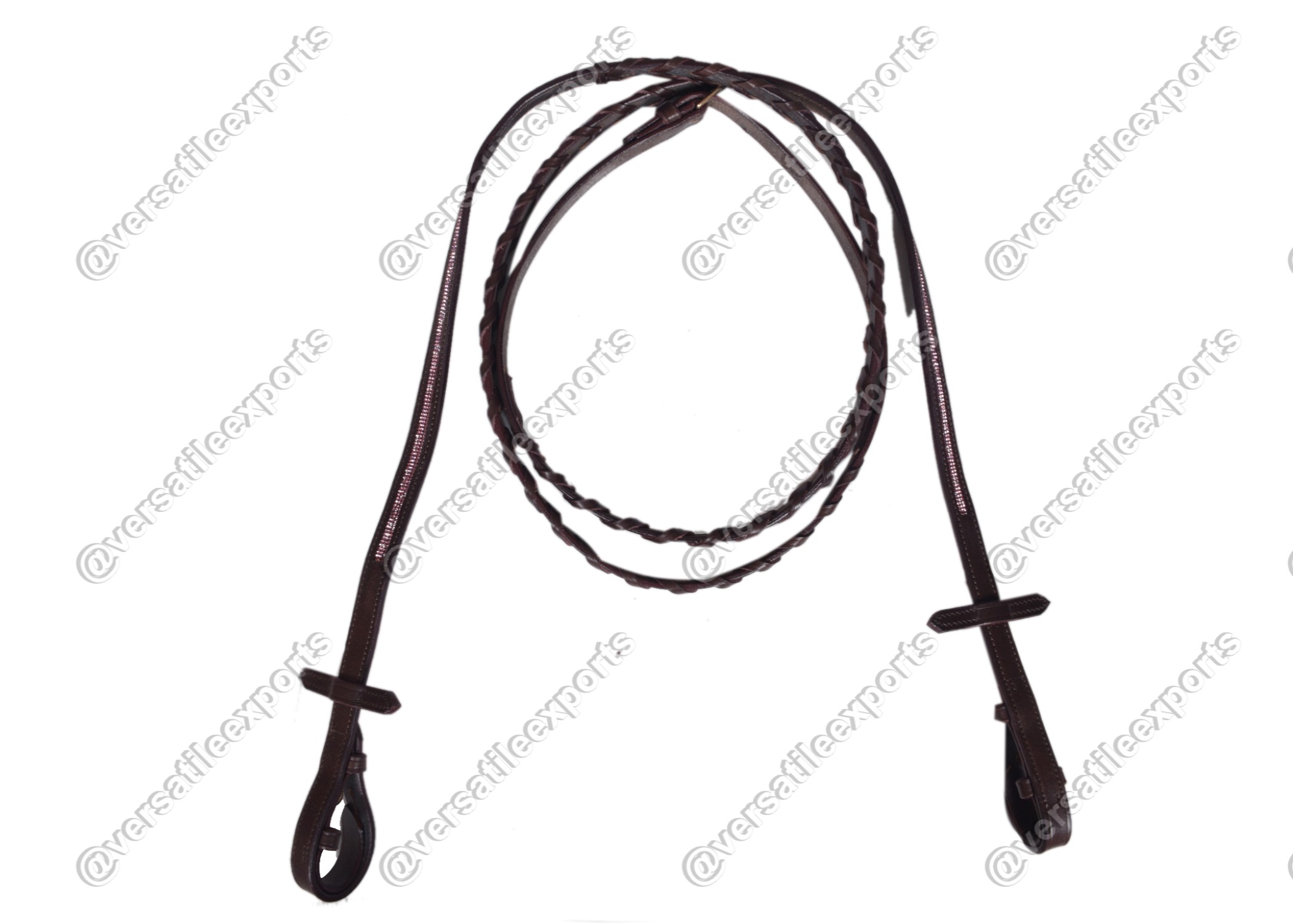Bridle Shiny
